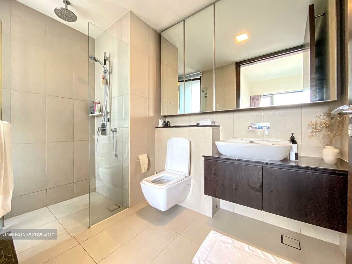 Spottiswoode Residences (D2), Condominium #569627961